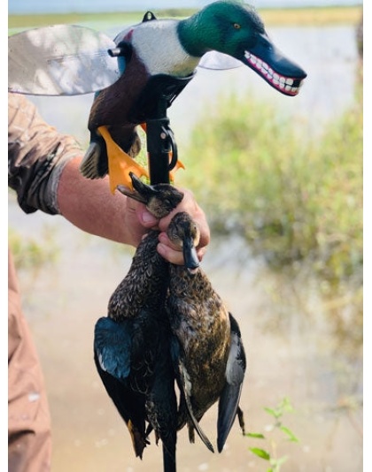 Mojo Elite Series Spoonzilla - Mallard Drake Decoy