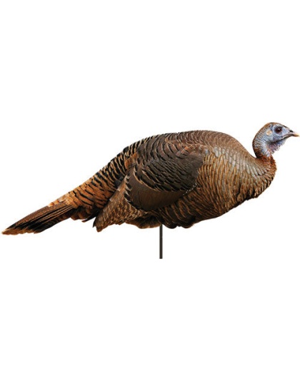 Montana Decoy Turkey Spring - Fling Hen