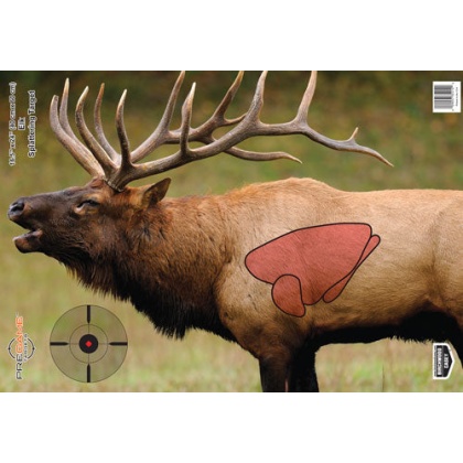 B-c Target Pregame 16.5"x24" - Elk Target 3-targets