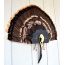 Do-all Turkey Tail Mount Kit - Iron Turkey