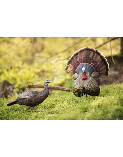 Flextone Thunder Creeper - Strutter Decoy W- Folding Fan