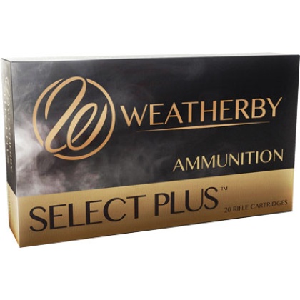 Wby Ammo .300 Weatherby Magnum - 180gr. Barnes Ttsx 20-pack