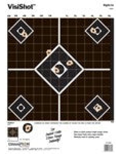 Champion Visishot Target - Sight-in Diamond Grid 10-pk